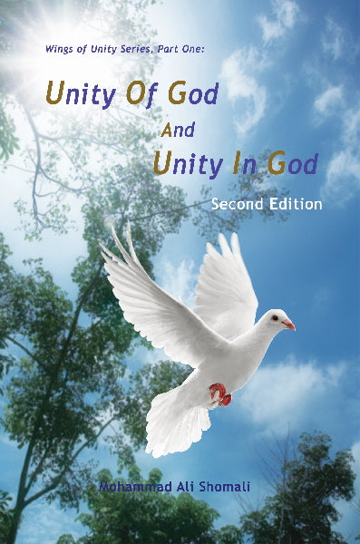 Unity of God and Unity in God 2nd Edition