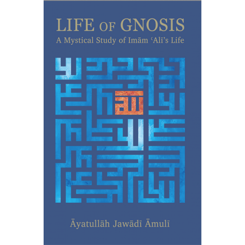 Life of Gnosis A Mystical Study of Imam Ali's Life